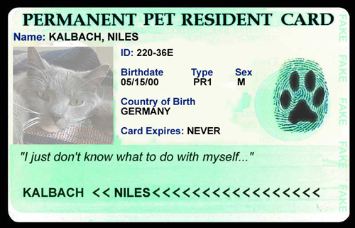 Niles Card